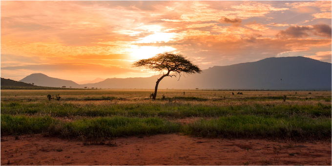Meetings, Events, Incentives, Safari und Gruppenreisen in Kenia