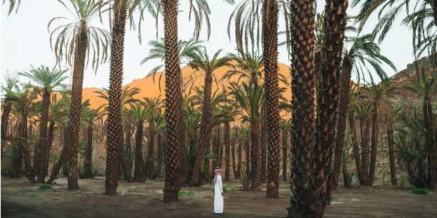 monthaye b1Ywo ZKtTs unsplash