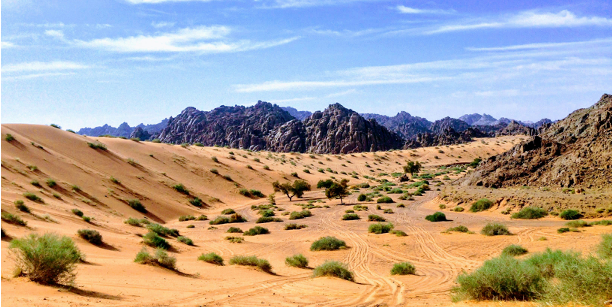 prachi palwe YUIMwavk7AQ unsplash