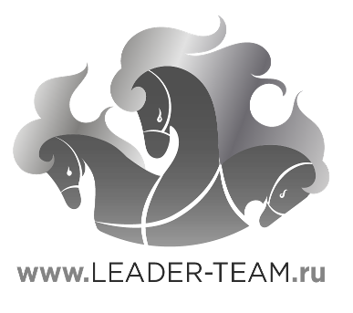 logo leaderteam