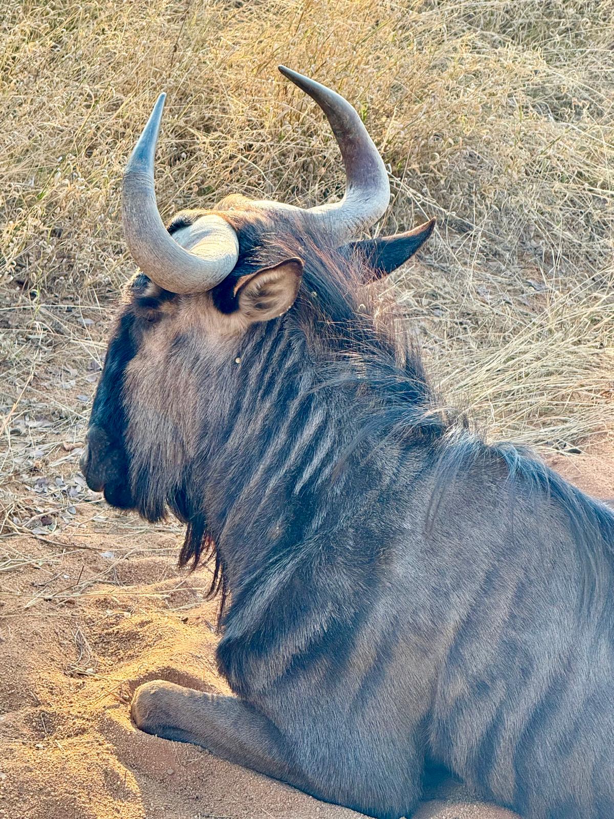 c2e24138 e0fa 4234 a9a5 9715a4ee7a0b